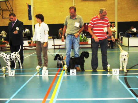 20-09-2012 Puppyshow KV Waalwijk